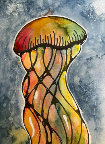 jellyfish watercolor